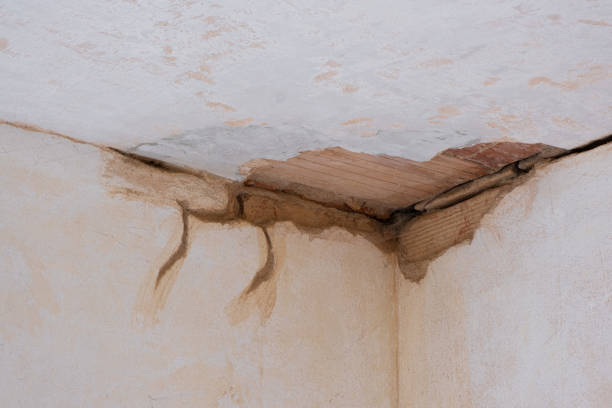 Best Residential water damage restoration  in Essex Junction, VT