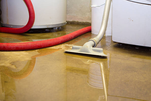 Best Emergency water extraction  in Essex Junction, VT