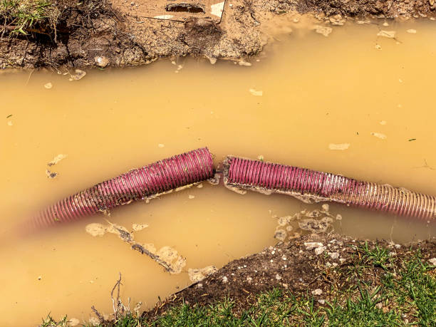 Best Water damage restoration insurance claims  in Essex Junction, VT